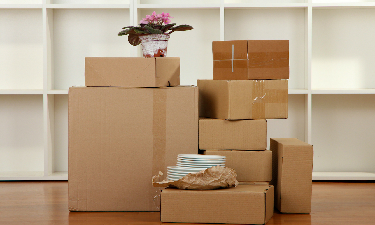 Move In/Move Out