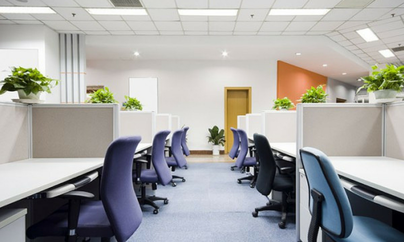 Office Cleaning